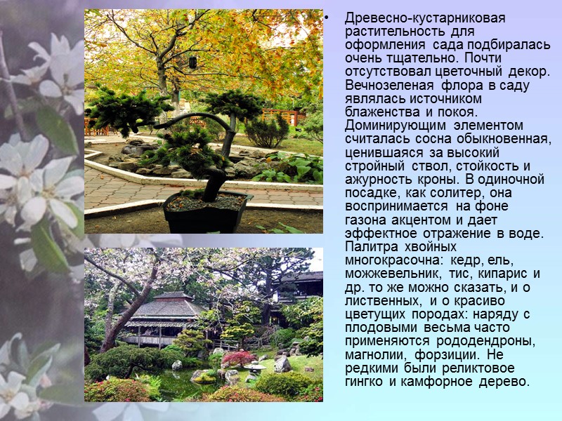 Древесно-кустарниковая растительность для оформления сада подбиралась очень тщательно. Почти отсутствовал цветочный декор. Вечнозеленая флора